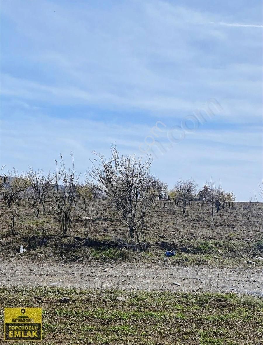 Burdur Karamanlı Hürüyet Te.5110.metrekare Bahçe - Görsel 17