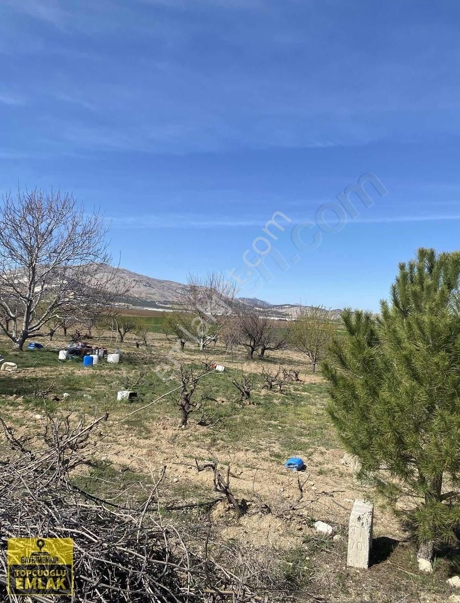 Burdur Karamanlı Hürüyet Te.5110.metrekare Bahçe - Görsel 6