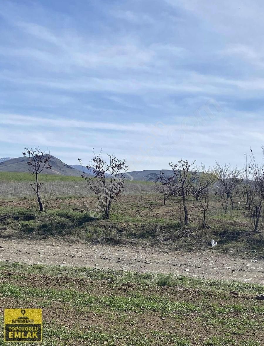 Burdur Karamanlı Hürüyet Te.5110.metrekare Bahçe - Görsel 12