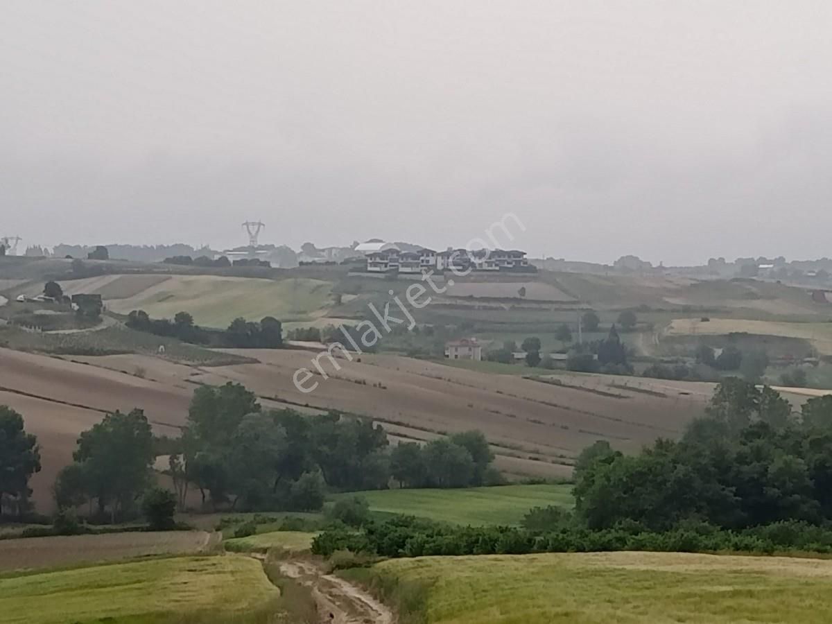 Kaynarca-gaziler Mh.de-satılık-1703 M2 Tarla