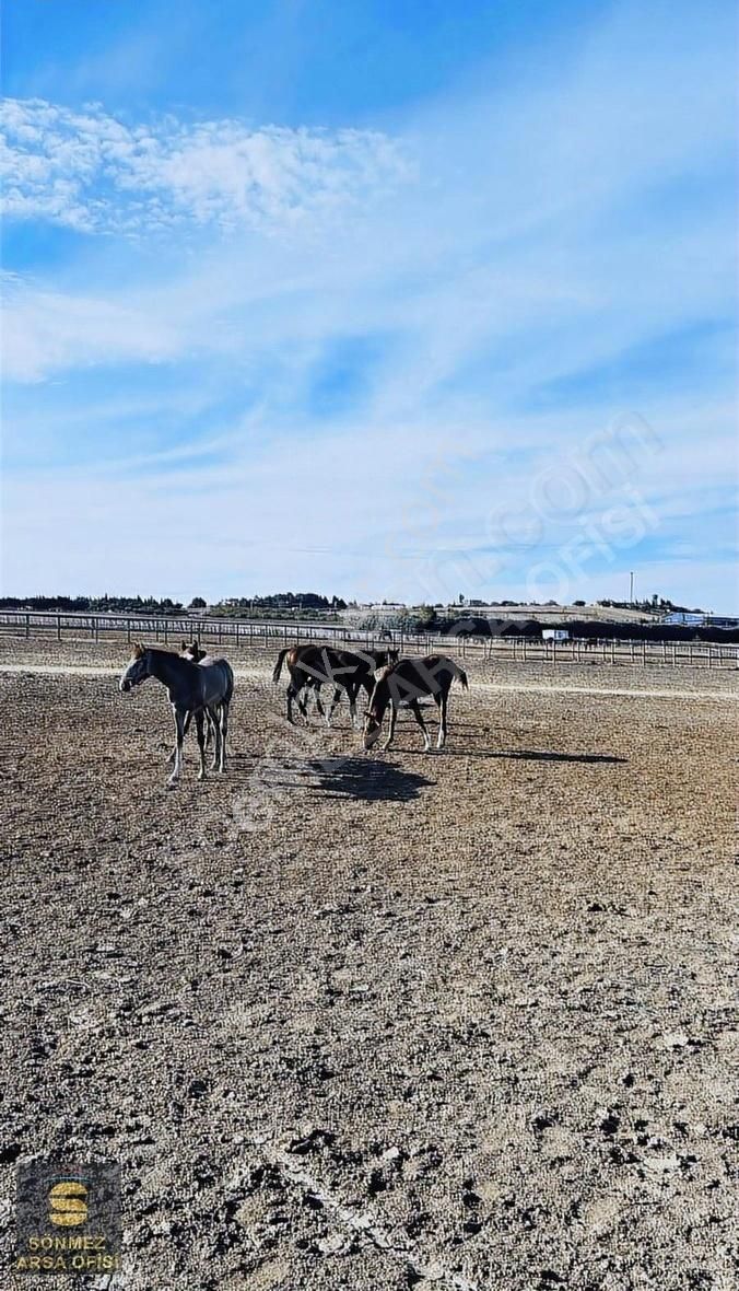 Silivri Seymen De Satılık 280 M2 - Görsel 16