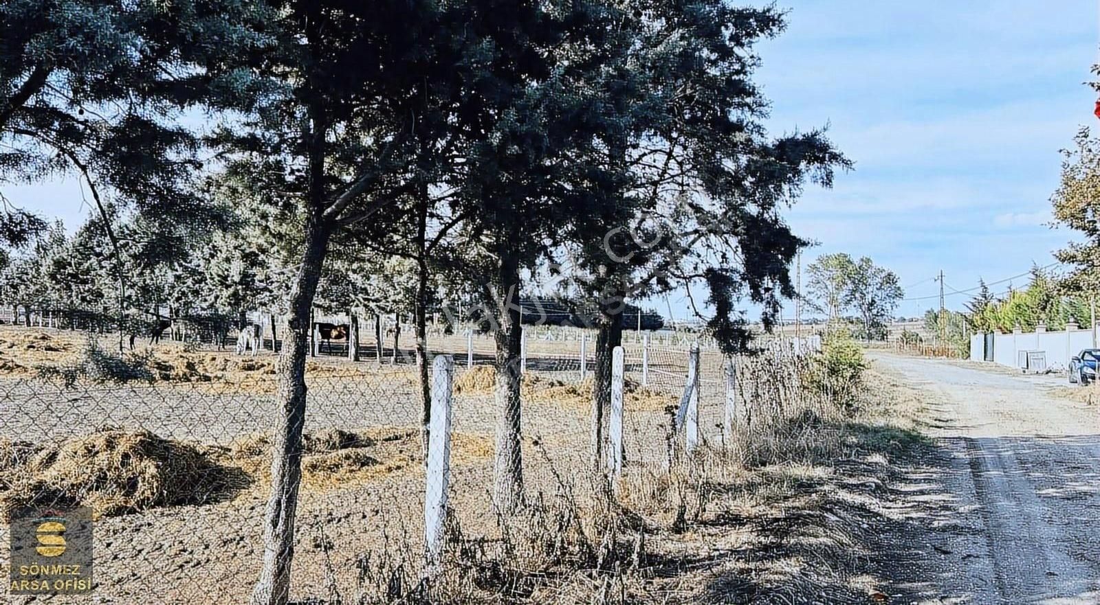 Silivri Seymen De Satılık 280 M2 - Görsel 6