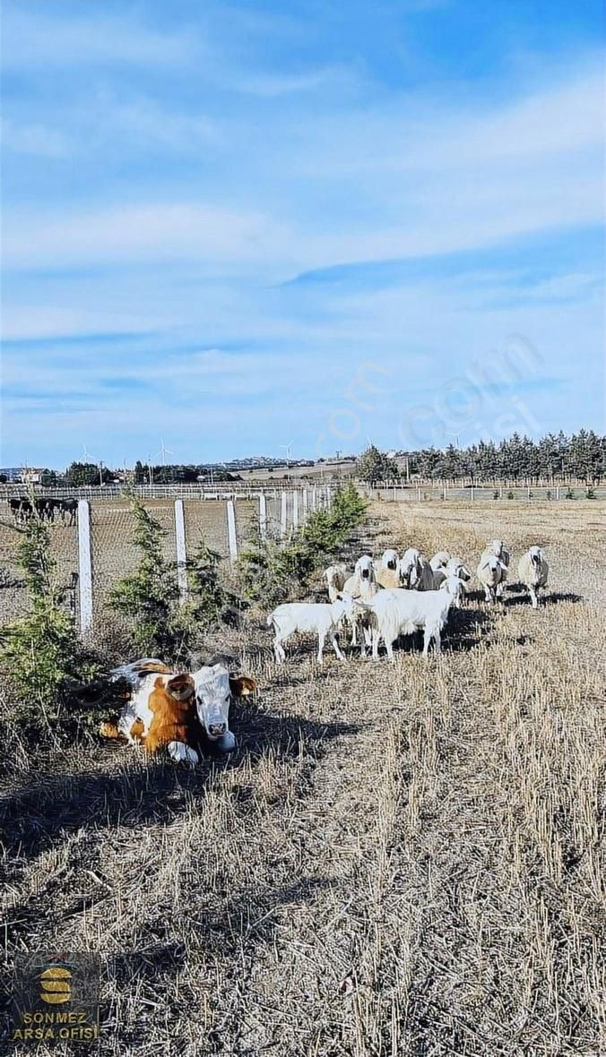 Silivri Seymen De Satılık 280 M2 - Görsel 4