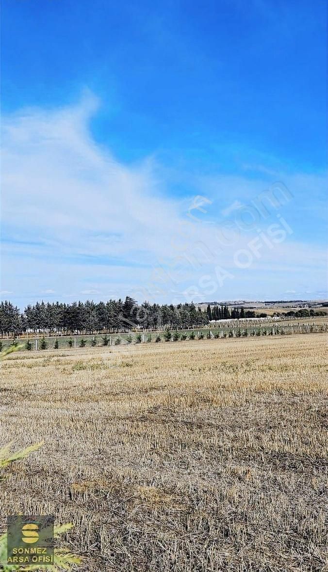 Silivri Seymen De Satılık 280 M2 - Görsel 14