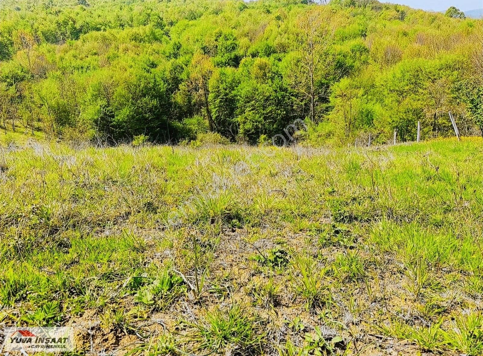 Gebze İstasyonda 4dairelik Arsa