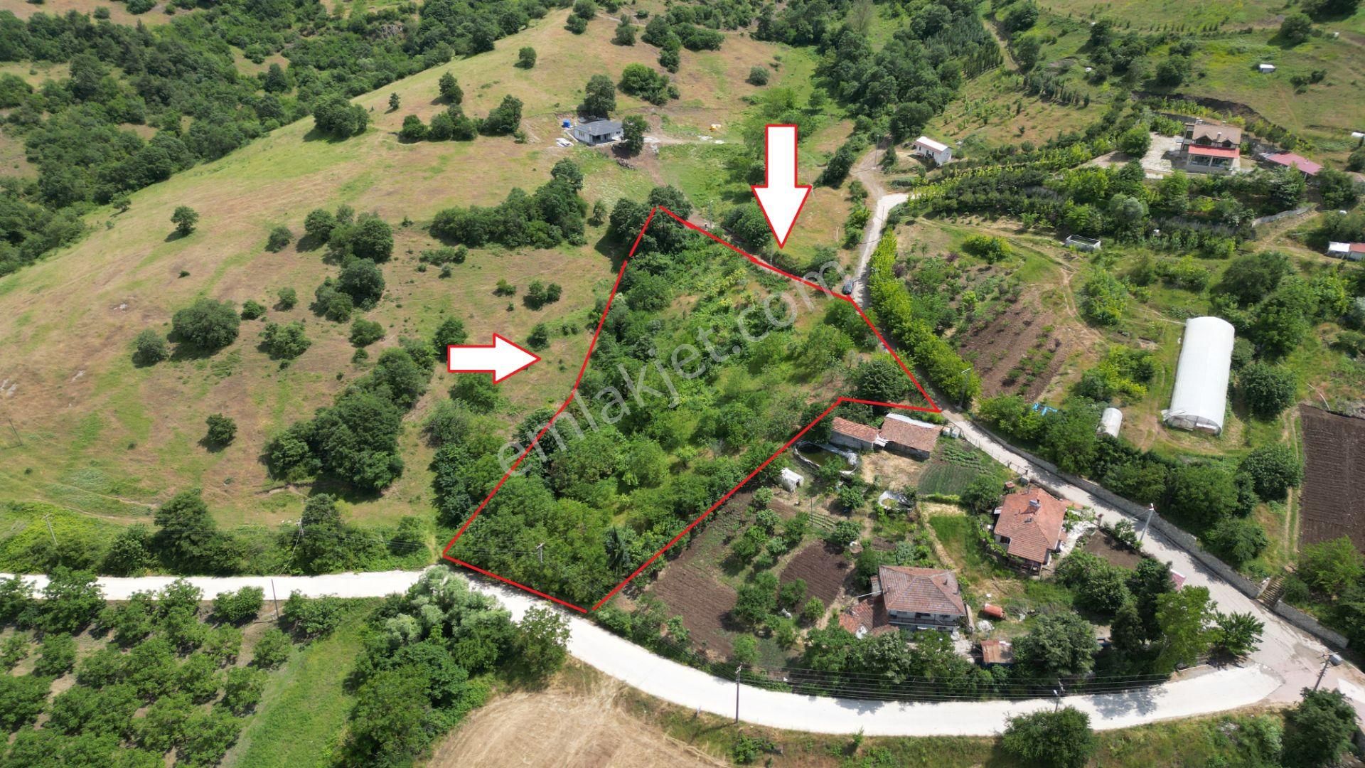 Kocaeli Karamürsel Çamdibi Mahallesi Satılık Tarla 4011 M2