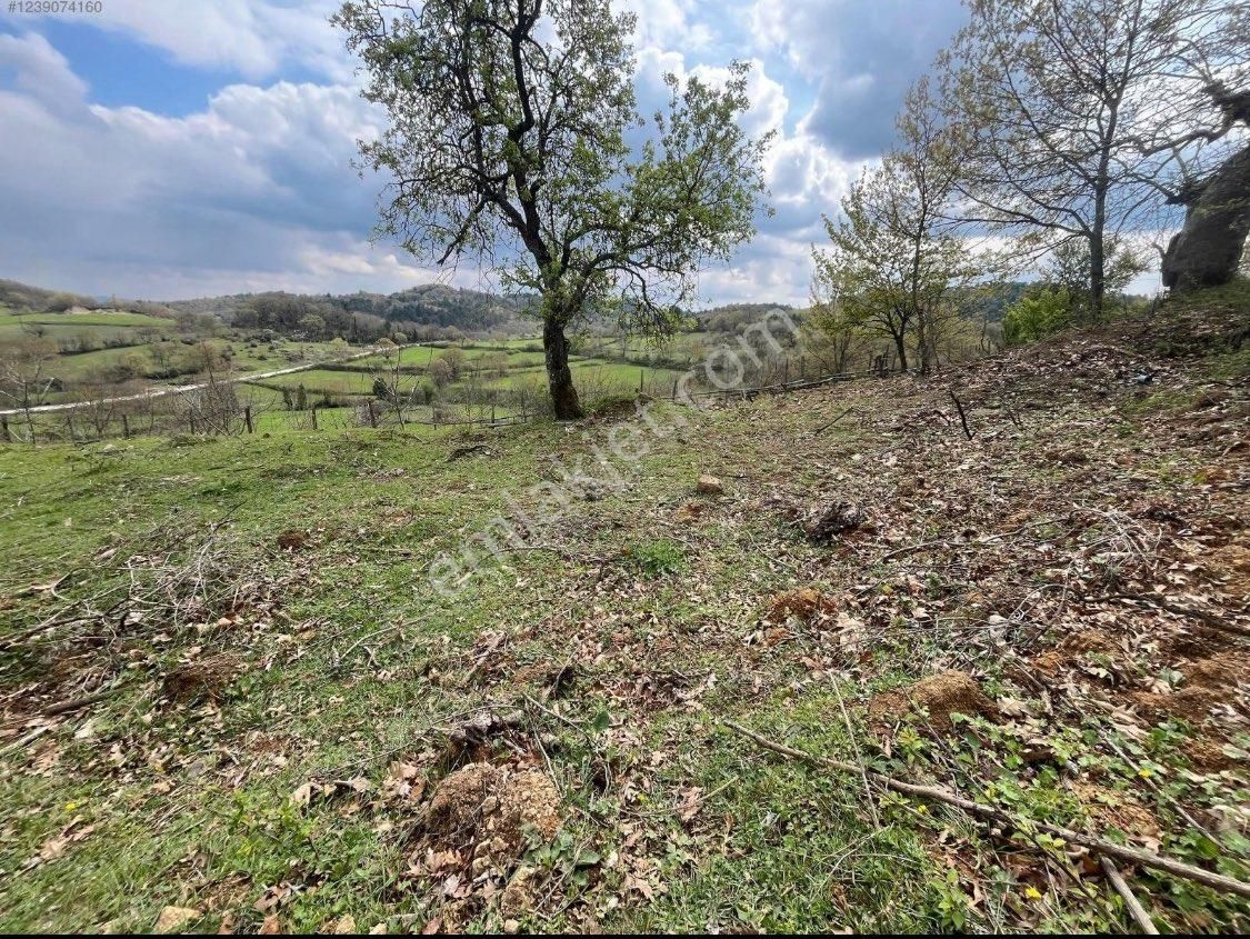 Kazdağlarının En Kıymetli Bölgesinde İmarlı Arsa