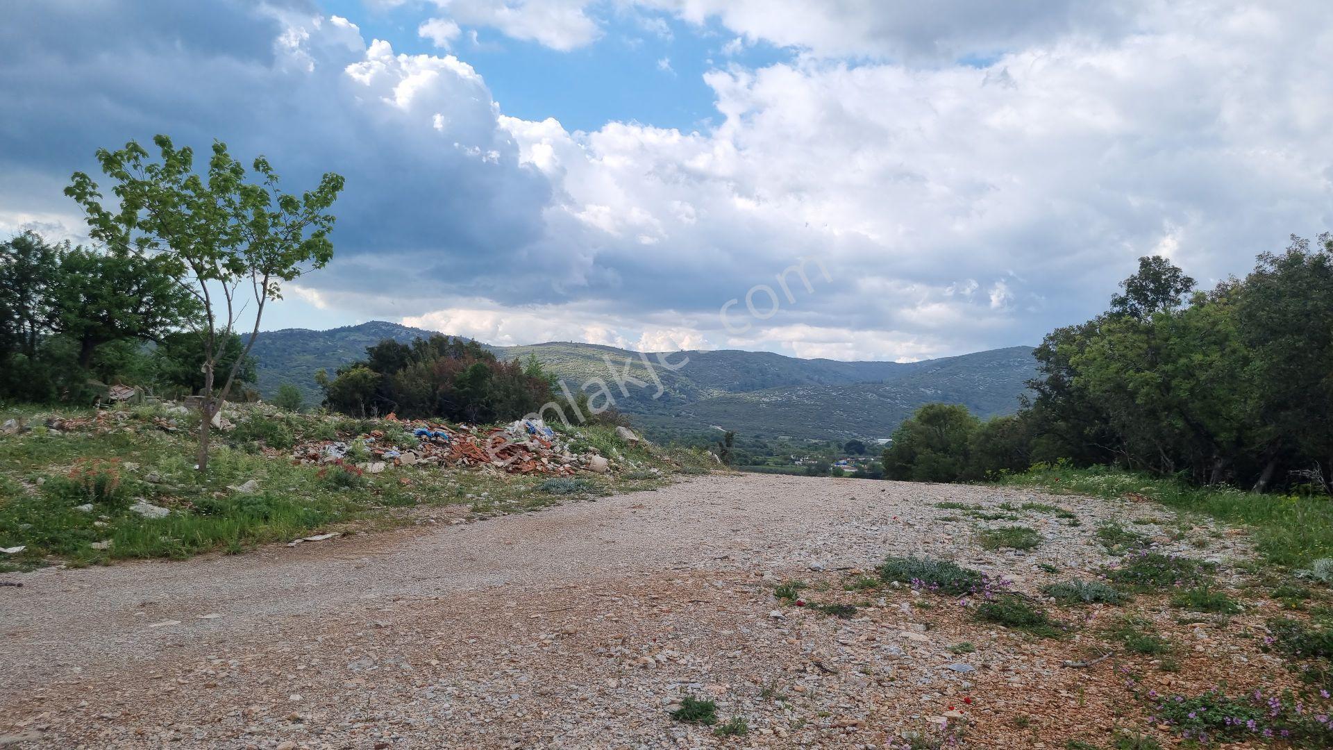 Akkaya Mah Satılık Yol Cepheli Tarla - Görsel 7