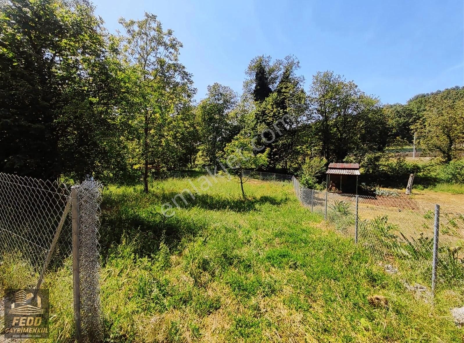 Gebze Denizli Köyü 440 M2 2 Hisseli Satılık Arsa