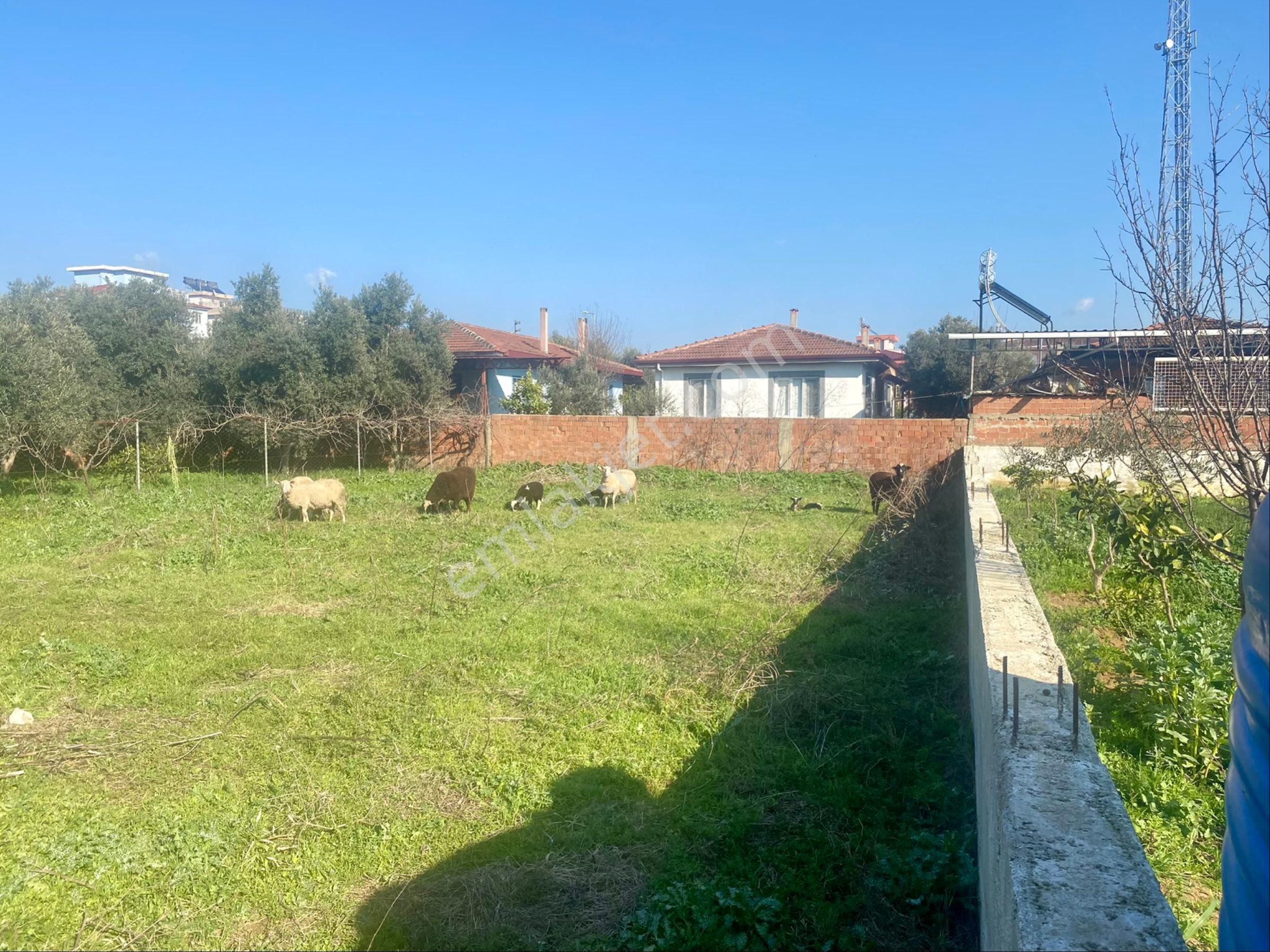 Ödemiştürkmen Mh Satılık İmarli Arsa