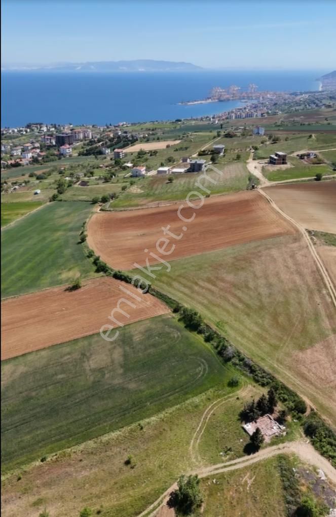 Süleymanpaşa Barbaros Mahallesinde Konut İmarlı Parseller