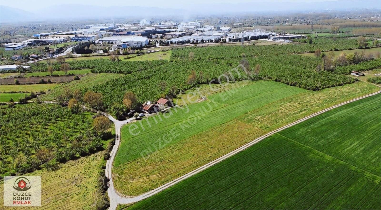 Düzce Konut Emlak | Beyköy Osb'de | Sanayi İmarlı 5.156 M2 Arsa
