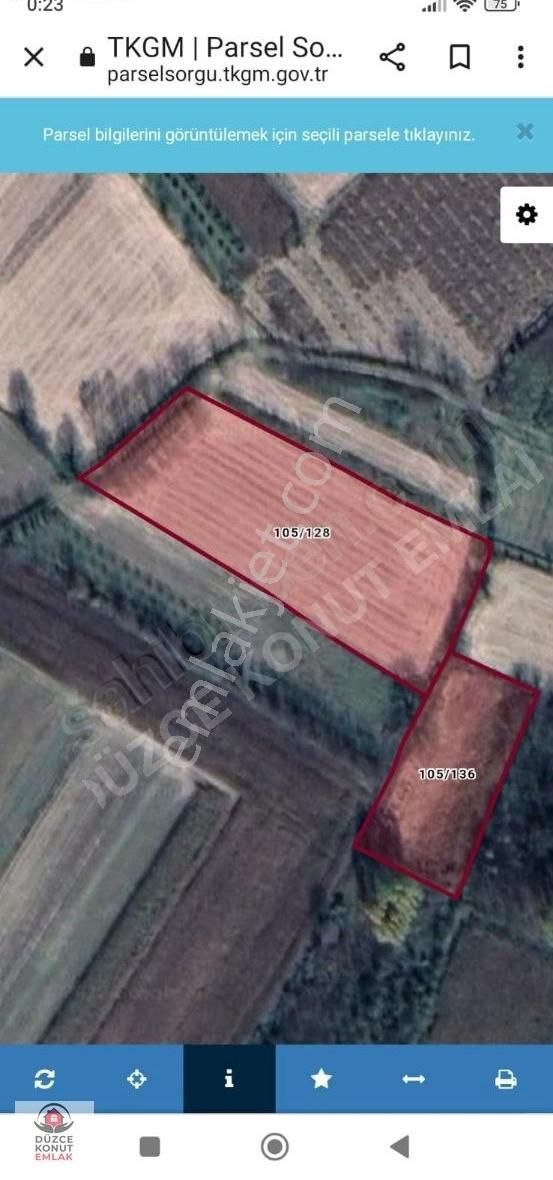 Düzce Çilimli Pırpır Köyü İçinde Yatırımlık Tarla %5. İmarlı