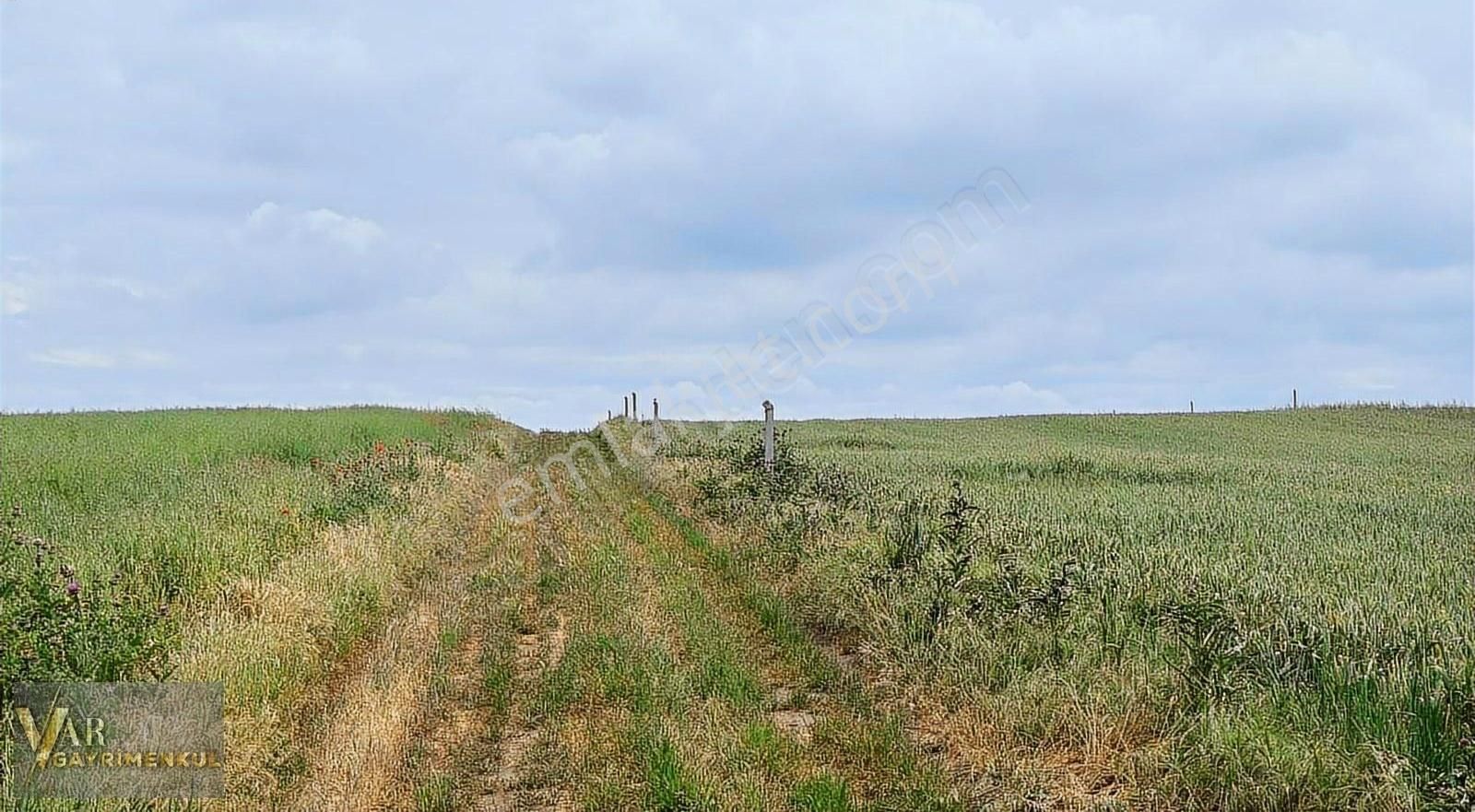 Tekirdağ Ergene Misinlide Satılık 388 M2 İmarlı İfrazlı Arsa