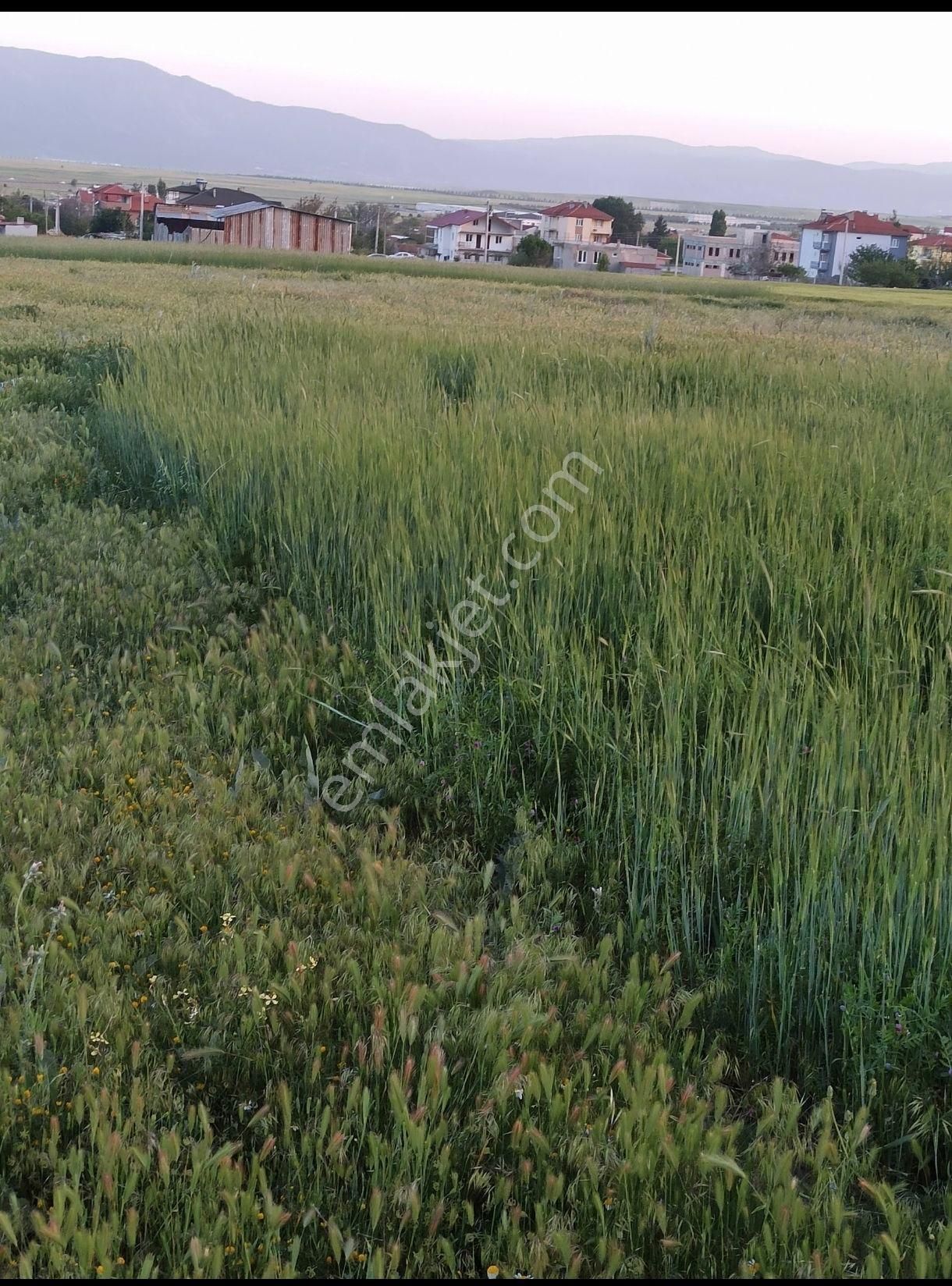 İlçe Merkezinde Uygun Arsa