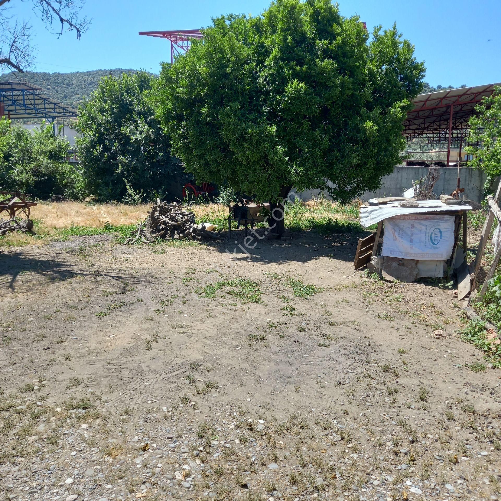 Beyerli Köyünde Müstakil Ev Arsa - Görsel 3