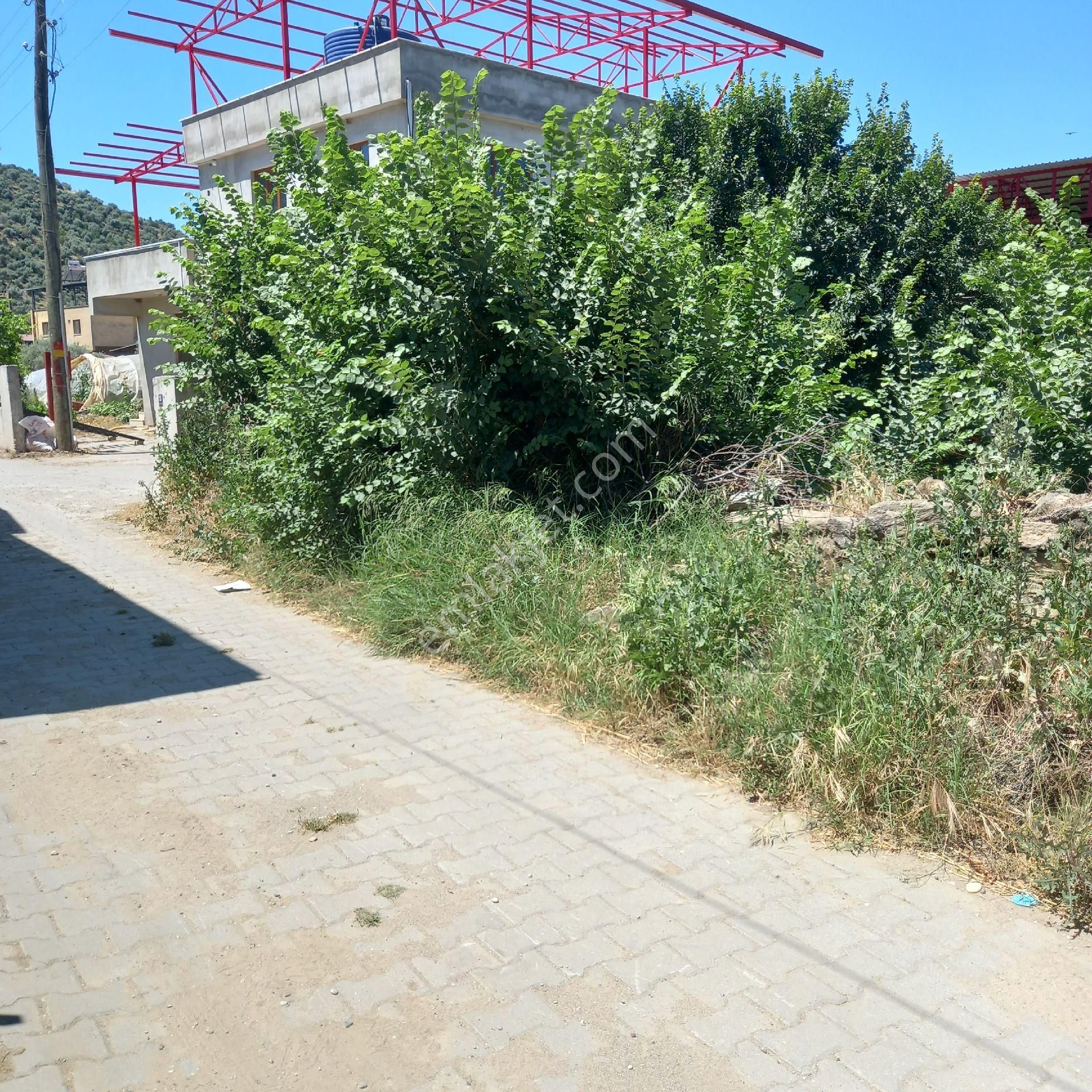 Beyerli Köyünde Müstakil Ev Arsa - Görsel 20