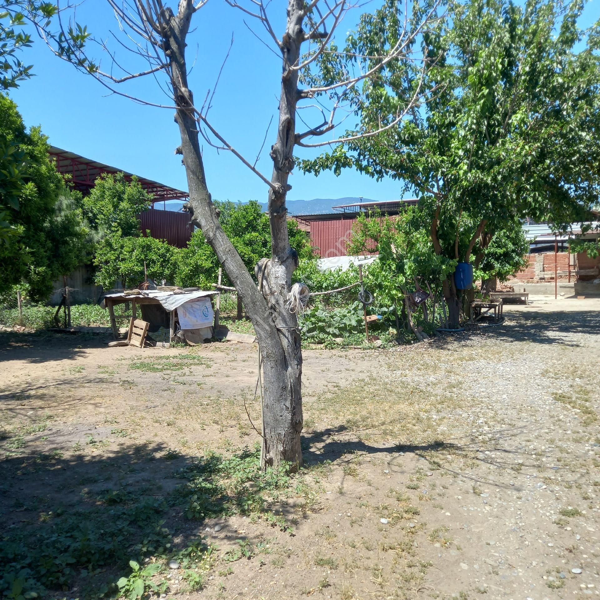 Beyerli Köyünde Müstakil Ev Arsa - Görsel 7