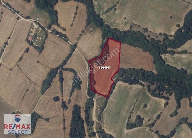 Çerkezköy'de Merkeze Yakın 11.805 M² Çiftlik Ve Tarım İçin İdeal