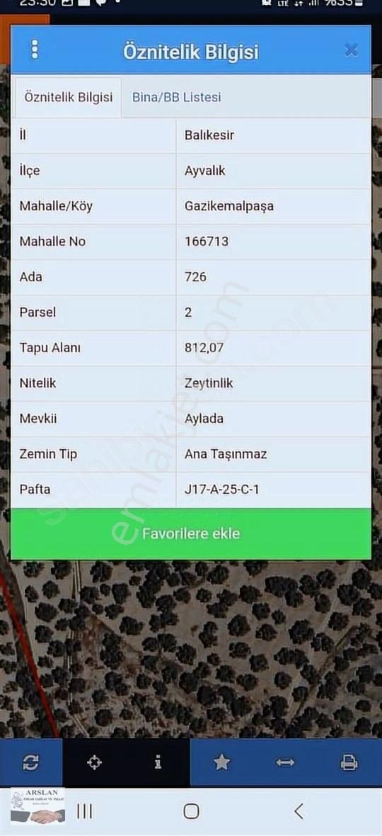 Arslan Emlaktan Zeytinlik - Görsel 3