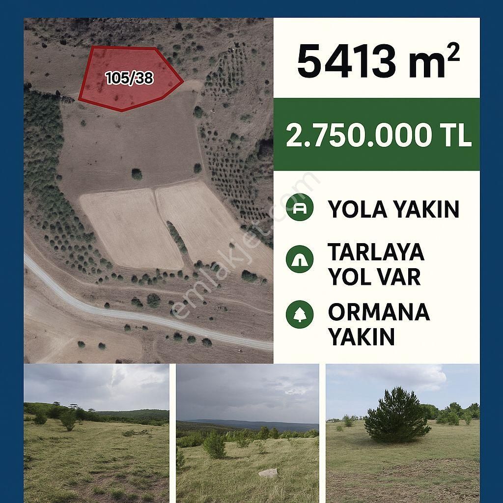 Yolu, Manzarası Ve Konumuyla Hazır Tarla – 5413 M²