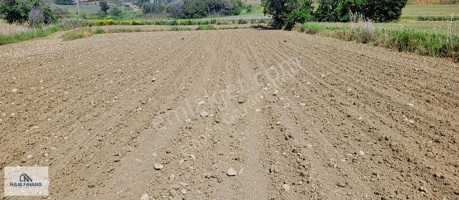 Çanakkale Gelibolu Bolayırda Satılık Arsa Deniz Doğa Bir Arada