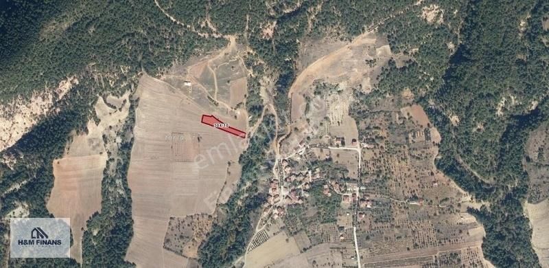 Sakarya Geyve Çamlık Mah. 1860 M2 Yatırıma Uygun Satılık Arsa