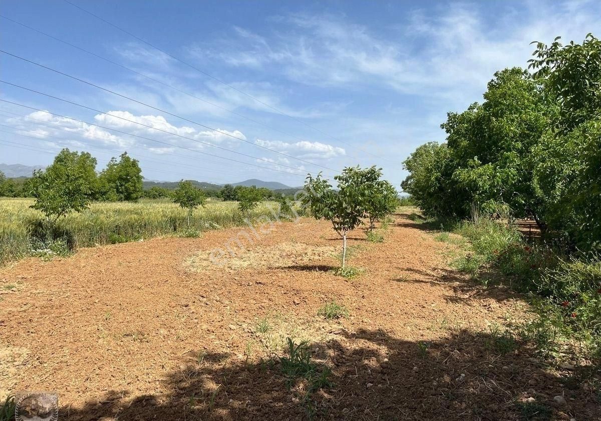 Muğla Yatağanda Satılık Tarla