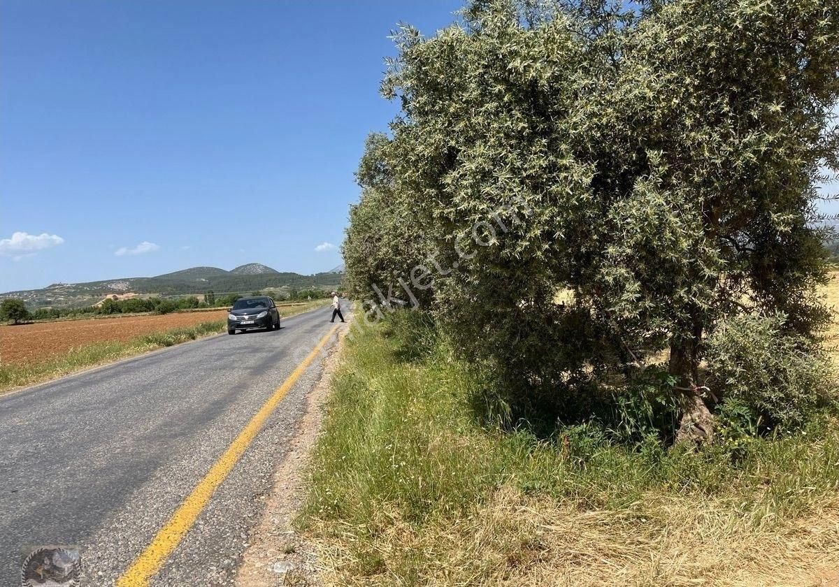 Muğla Yatağanda Satılık Tarla