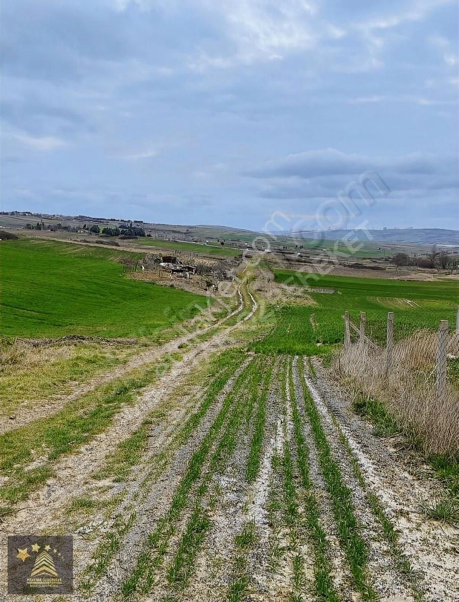 Arnavutköy Haraççı Da İmarlı 806 Metre Arsa