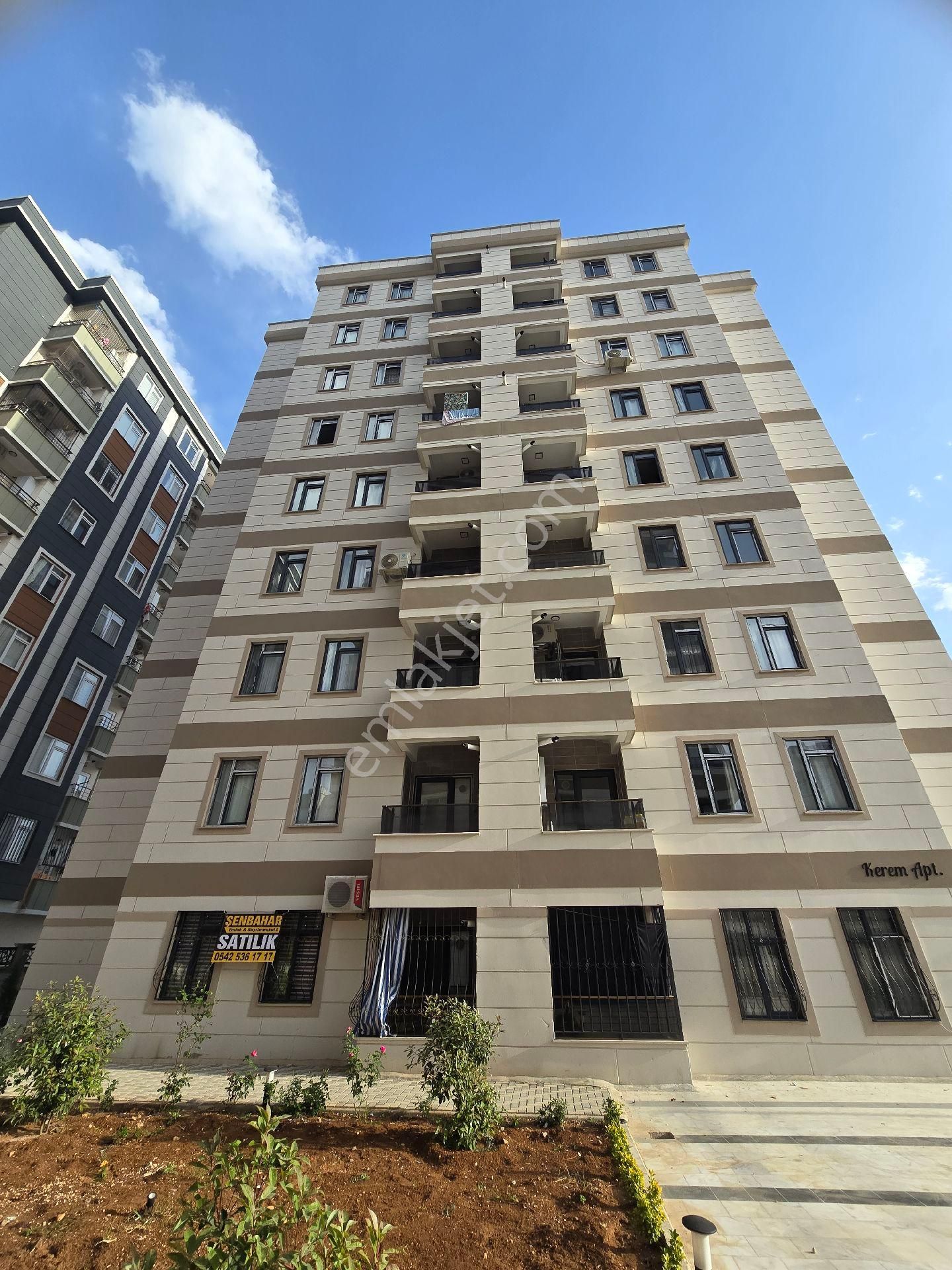 Şenbahar Emlak'tan Kiralık 1+1