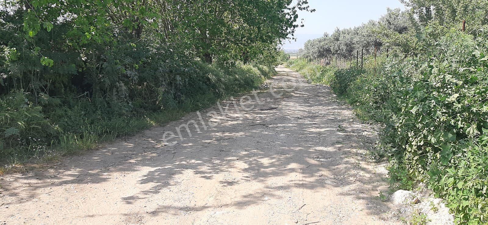 İzmir Ovakent Mahallesinde Satılık Çiftlik - Görsel 28