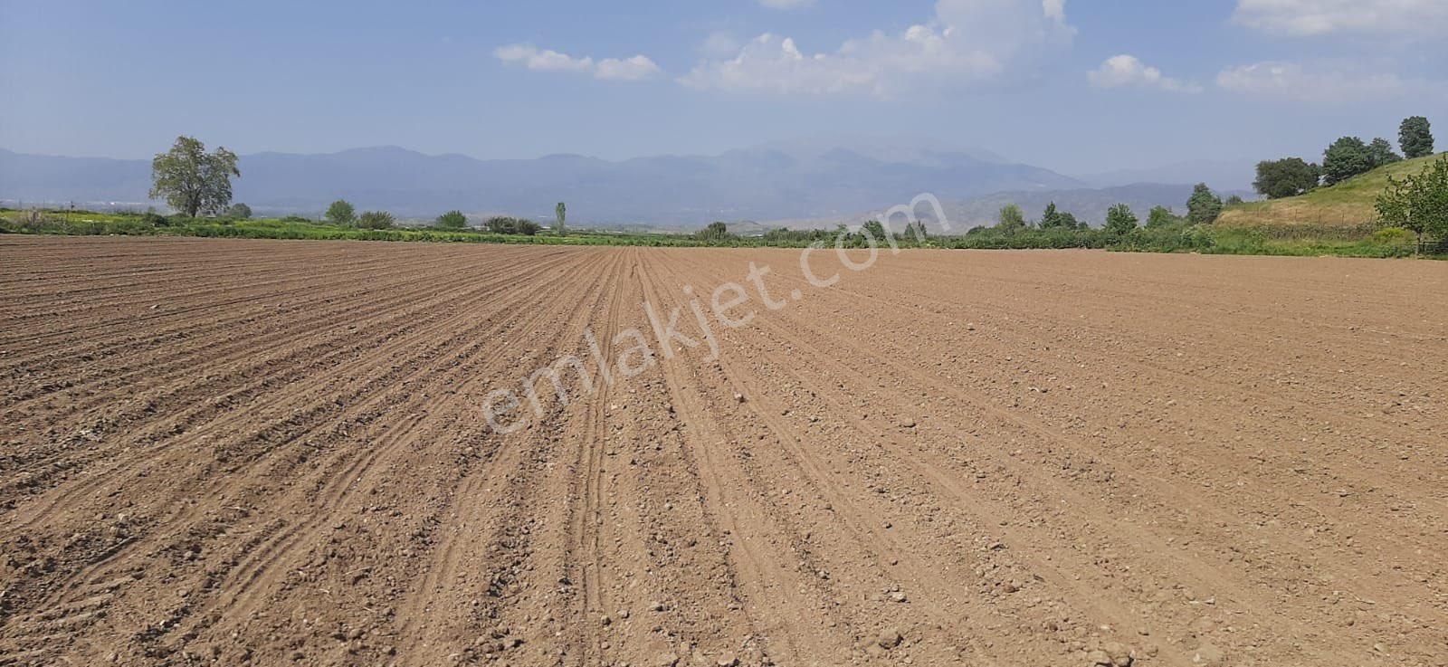 İzmir Ovakent Mahallesinde Satılık Çiftlik - Görsel 4