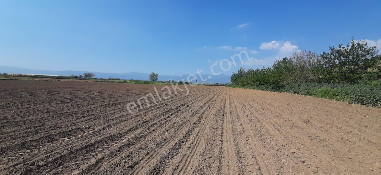 İzmir Ovakent Mahallesinde Satılık Çiftlik - Görsel 18