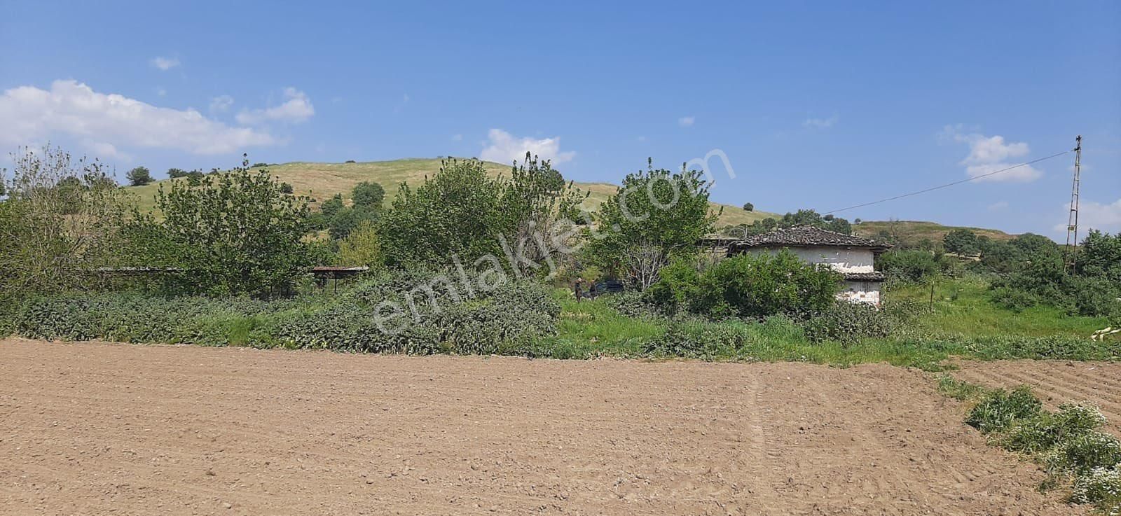 İzmir Ovakent Mahallesinde Satılık Çiftlik - Görsel 26