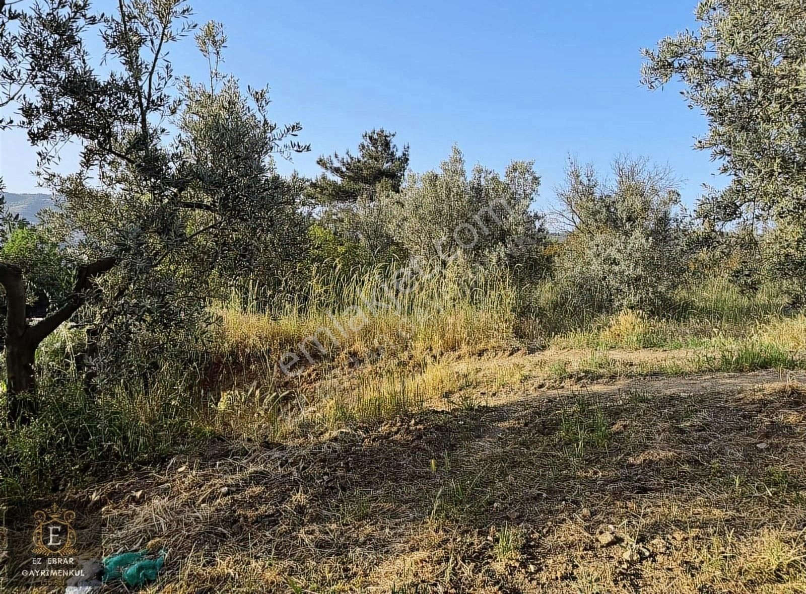 Mudanya Dereköyde 3000 M2 , Fırsat Arazi