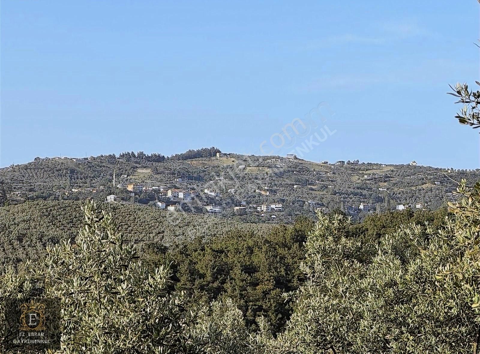 Mudanya Dereköy'de 1725 M2 Yatırımlık Arazi