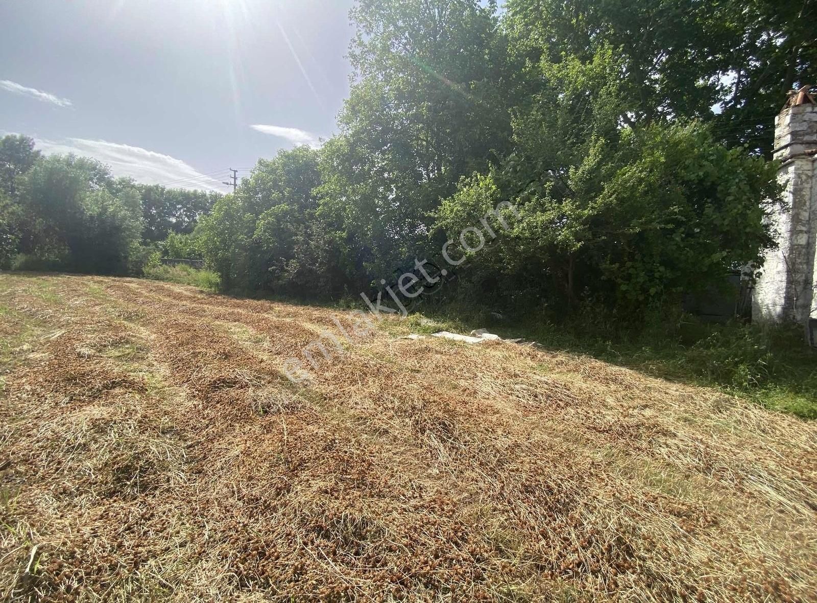 Muğla Karabağlar Köşe Parsel Satılık İmarlı Tarla - Görsel 2