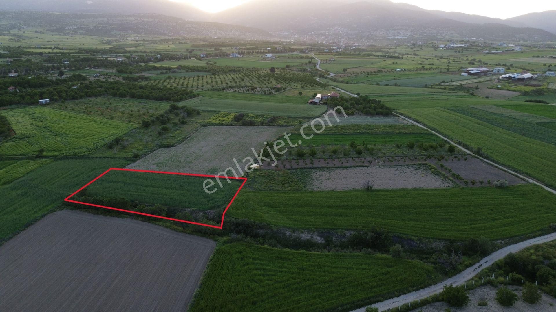 Korkuteli Yeltende Satılık 2.230 M2 Sulak Tarla Satılıktır Pazarlık Mevcut - Görsel 9