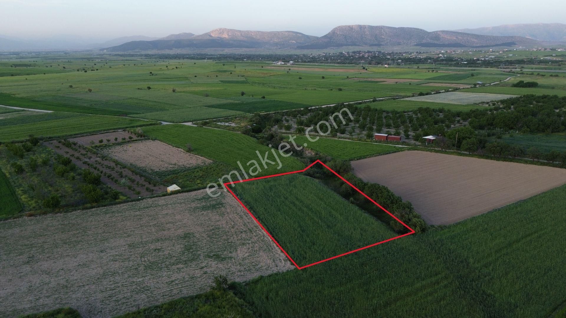 Korkuteli Yeltende Satılık 2.230 M2 Sulak Tarla Satılıktır Pazarlık Mevcut - Görsel 4