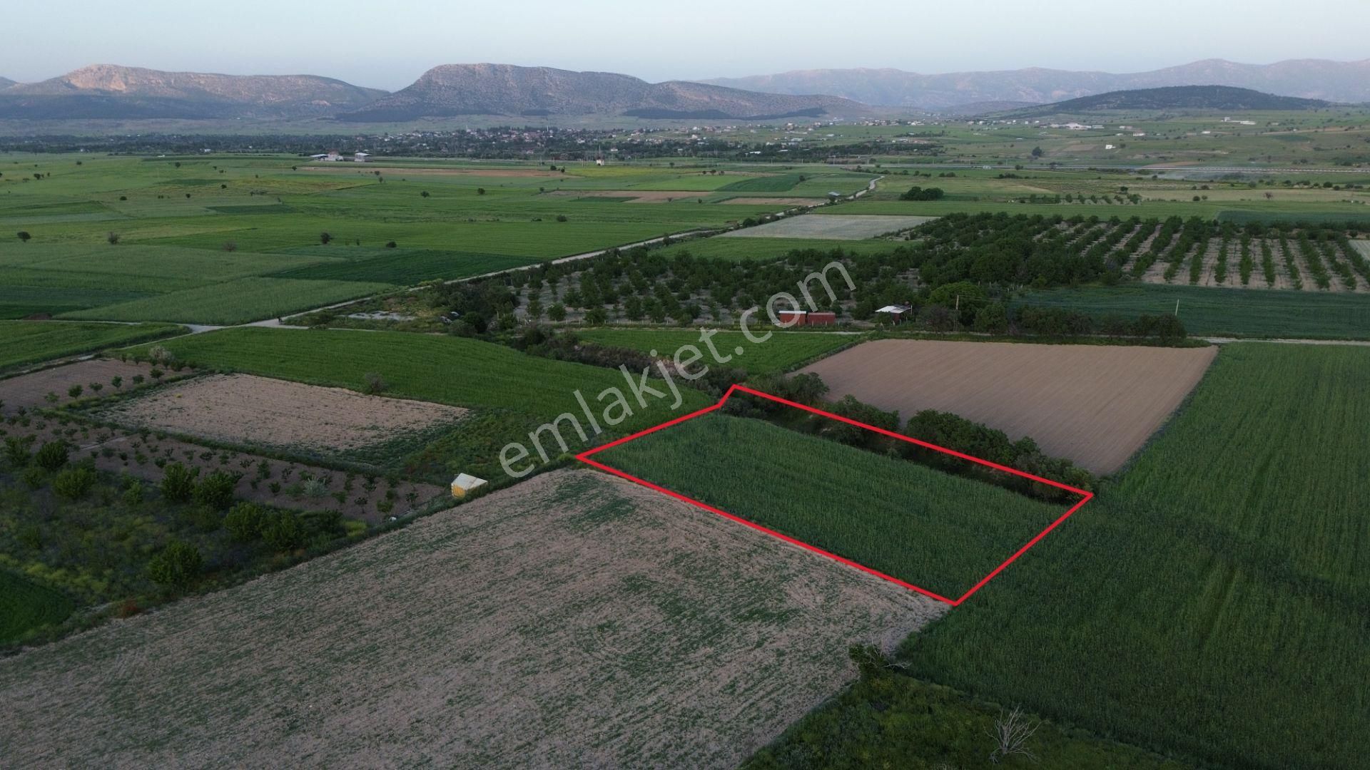 Korkuteli Yeltende Satılık 2.230 M2 Sulak Tarla Satılıktır Pazarlık Mevcut - Görsel 5