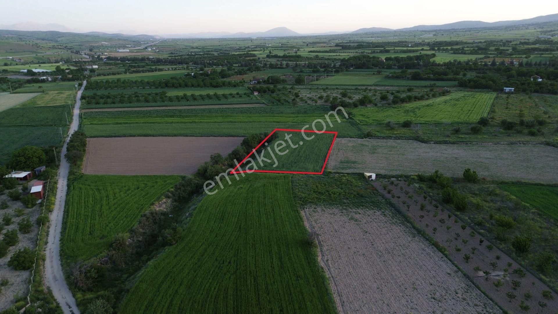 Korkuteli Yeltende Satılık 2.230 M2 Sulak Tarla Satılıktır Pazarlık Mevcut - Görsel 8