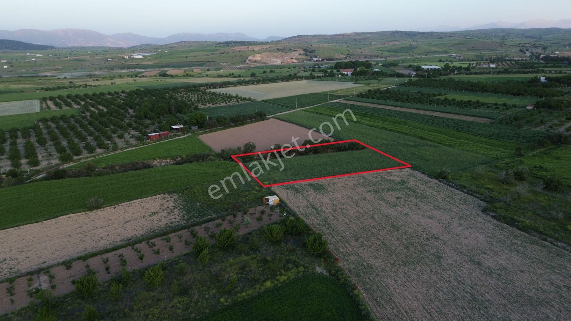 Korkuteli Yeltende Satılık 2.230 M2 Sulak Tarla Satılıktır Pazarlık Mevcut - Görsel 11