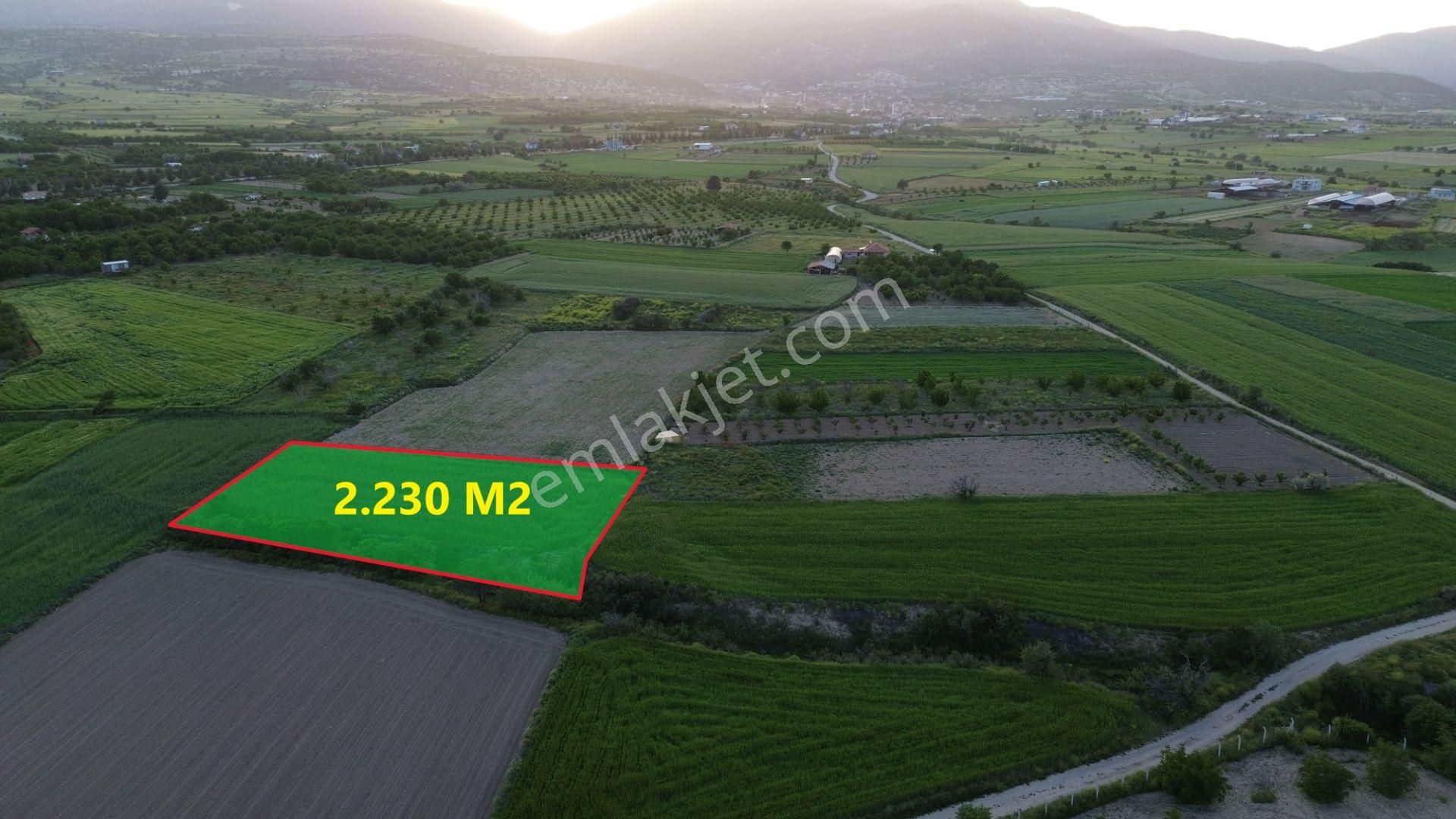 Korkuteli Yeltende Satılık 2.230 M2 Sulak Tarla Satılıktır Pazarlık Mevcut - Görsel 2