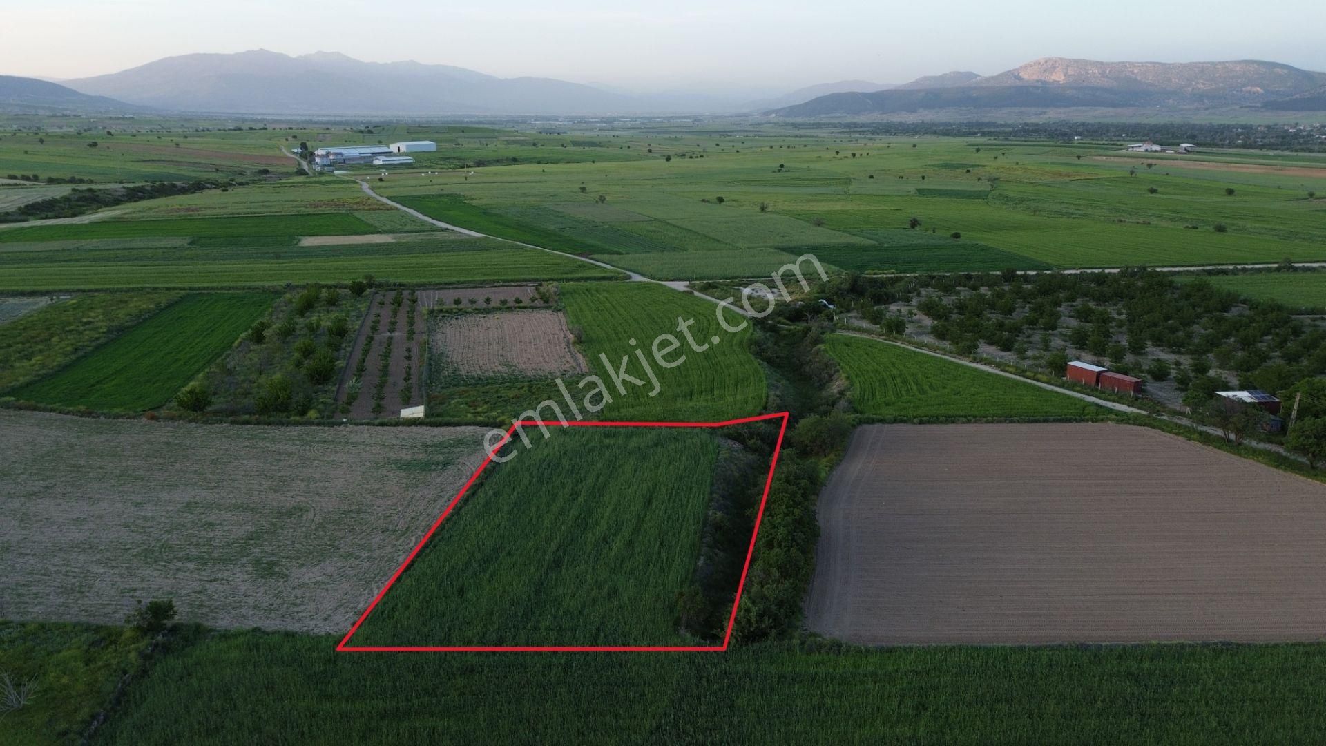 Korkuteli Yeltende Satılık 2.230 M2 Sulak Tarla Satılıktır Pazarlık Mevcut - Görsel 3