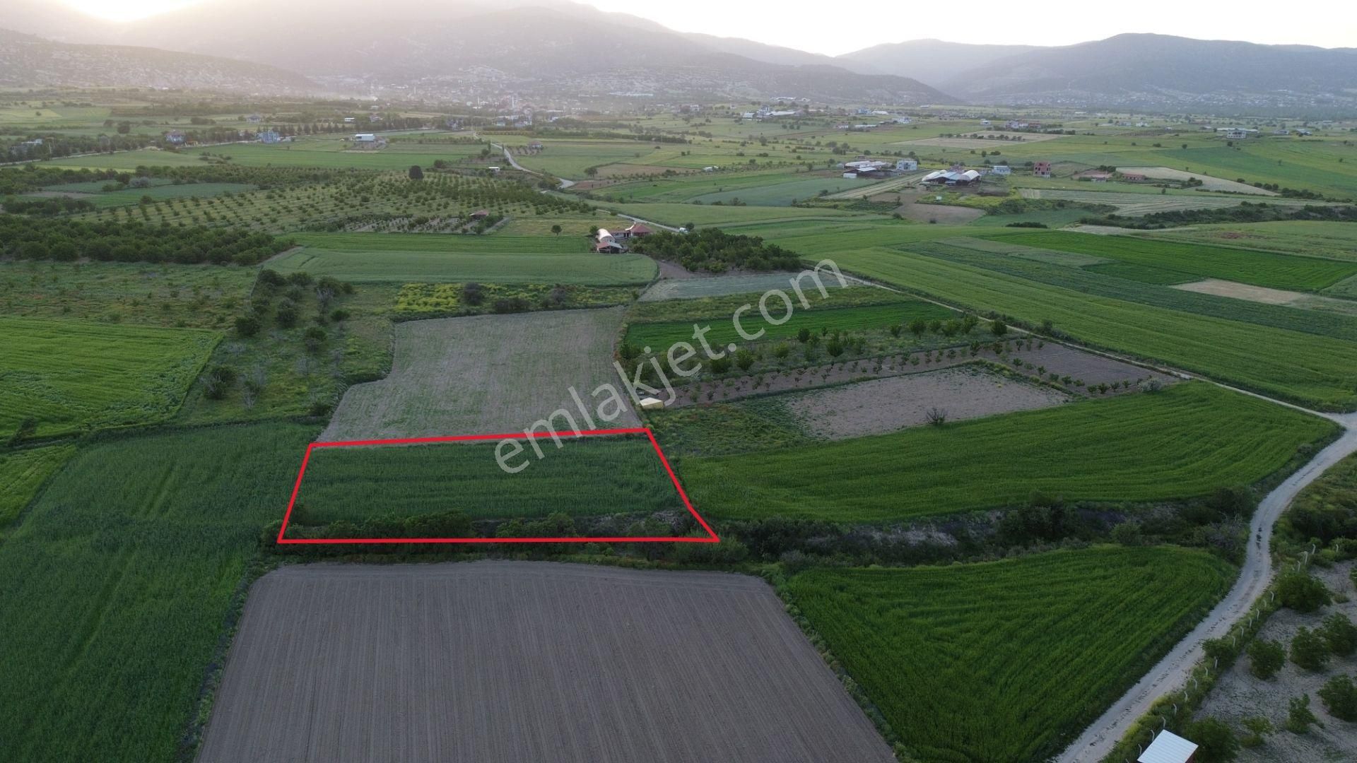 Korkuteli Yeltende Satılık 2.230 M2 Sulak Tarla Satılıktır Pazarlık Mevcut - Görsel 10