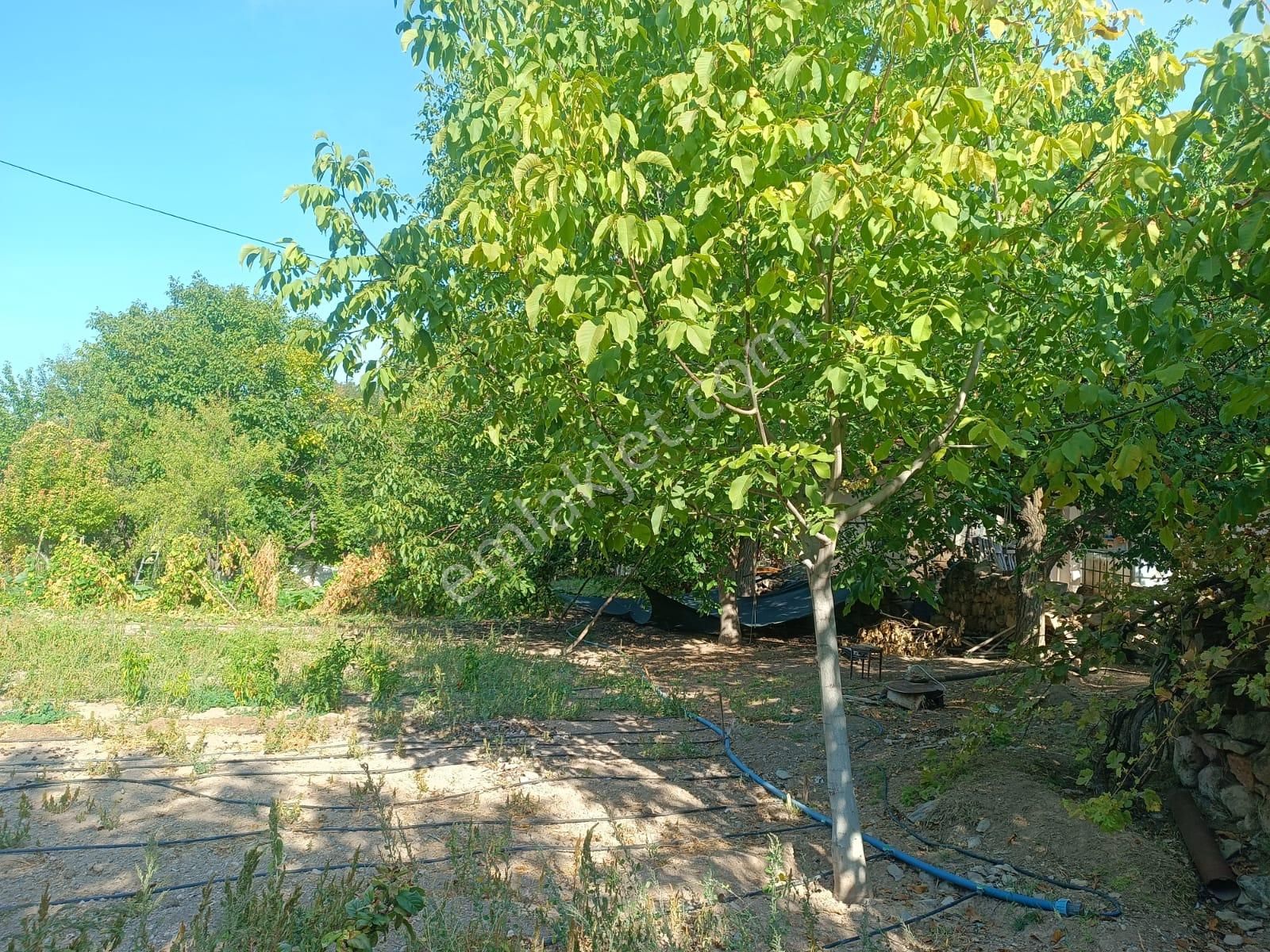 Himmetdede Köy İçinde Satılık İki Adet Ev Ve Arsası - Görsel 6