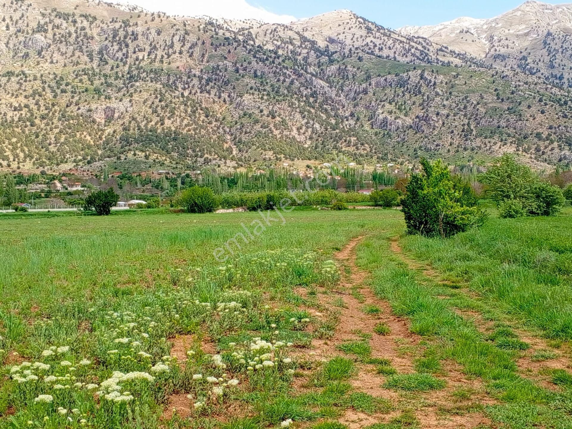 Akdeniz Emlakta Seydikemer Y.zorlar Mh.satılık Tarla - Görsel 23