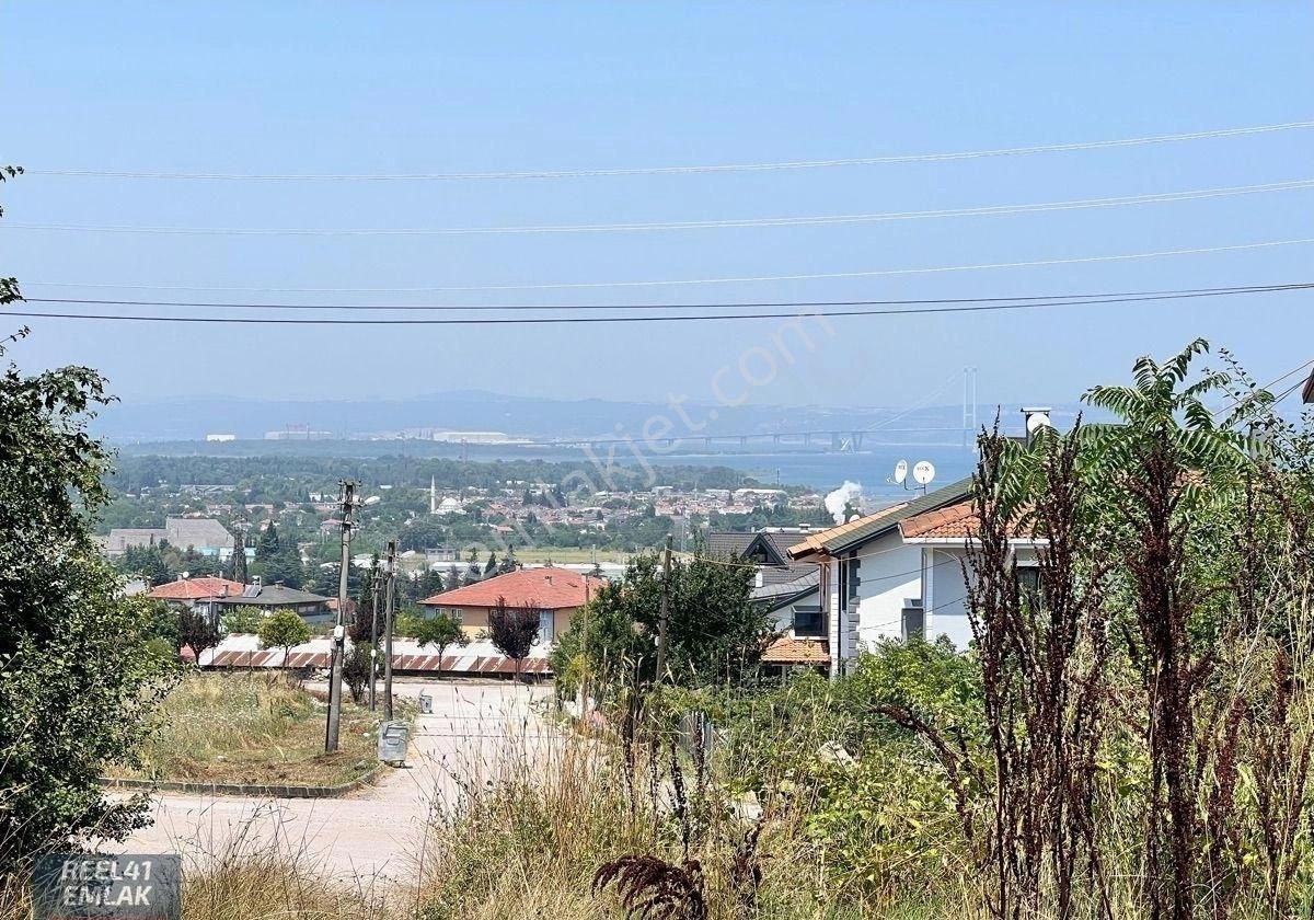 Karamürsel Dereköy De Satılık İmarlı Zeytin Bahçesi