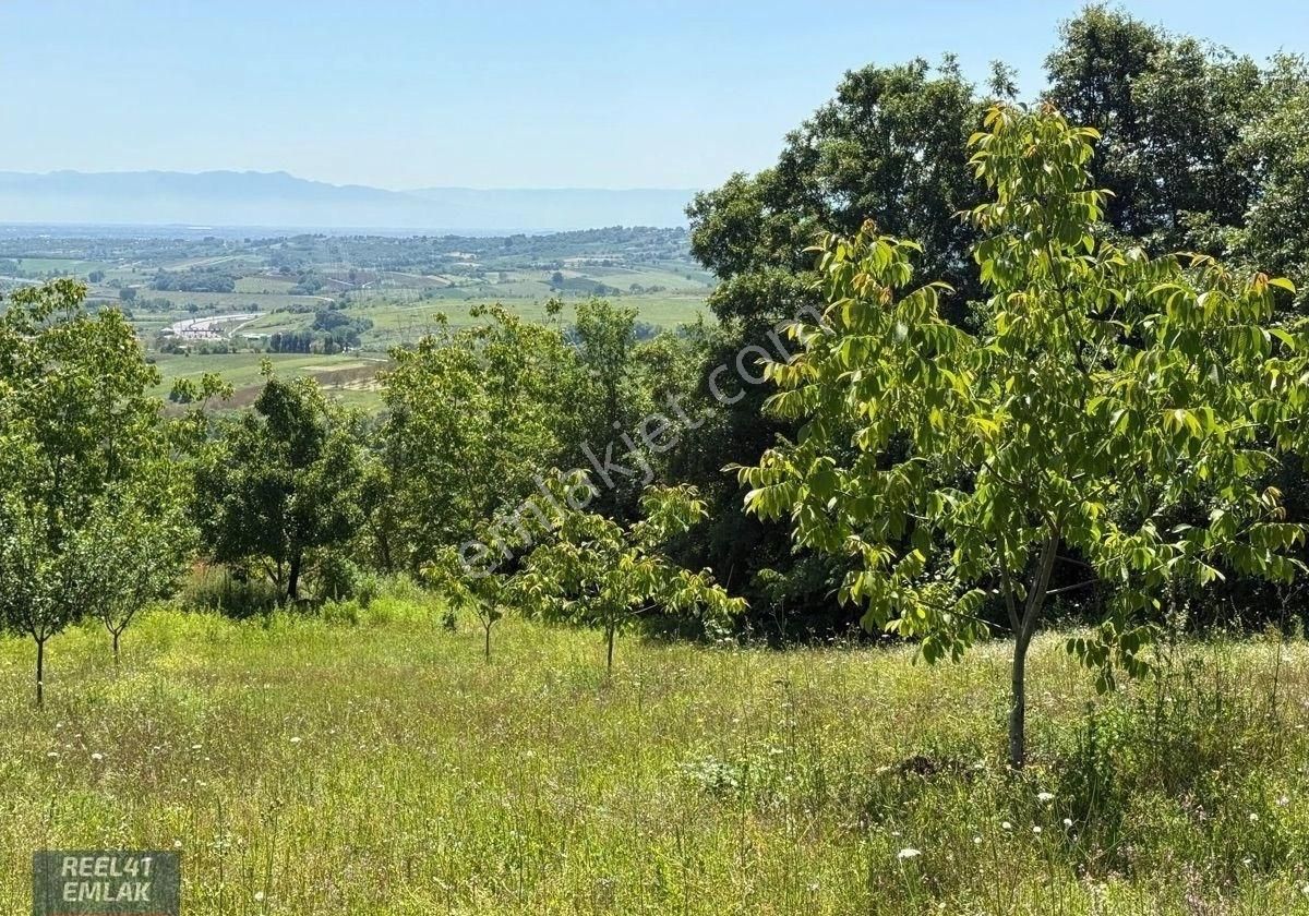 İzmit Akmeşe De Satılık 10220 M2 Tarla